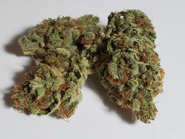 Mint Chocolate Banana