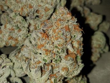 Colonel Crunch