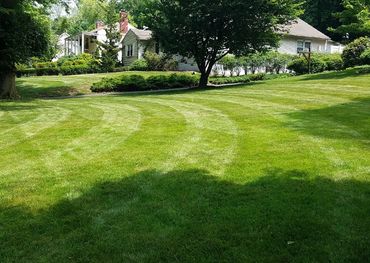 Lawn maintenance, trimming and mowing