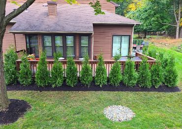 Condominium complex with privacy evergreen plantings, lawn and landscape maintenance