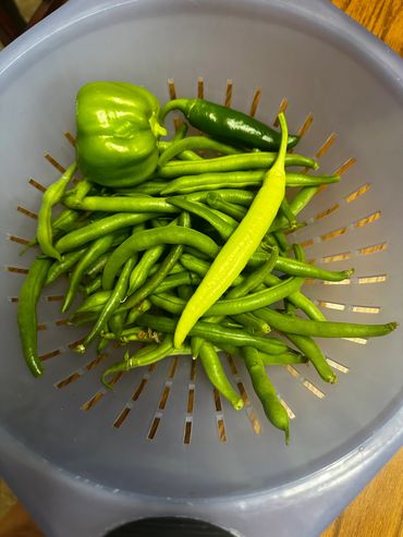 Growing your own ! Knowing where your foods comes from is an added benefit for less chemicals and g