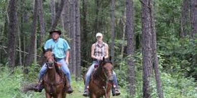 Many horseback riding stables in the Huger area. Jericho horse trail is a 19 mile loop located here.