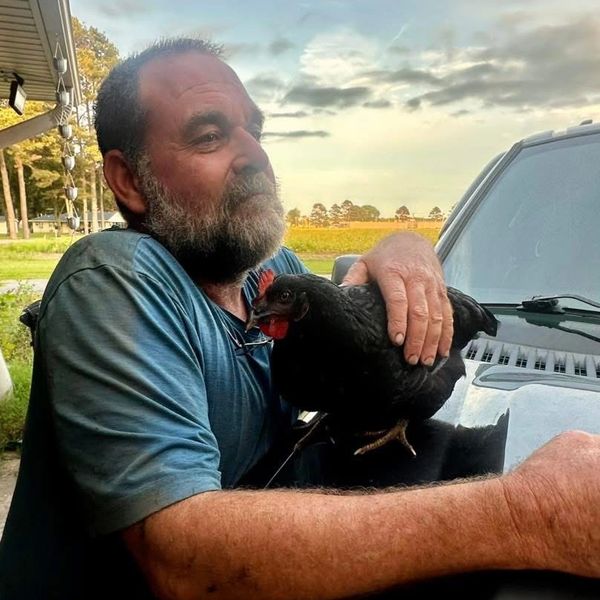 Man holding a black chicken outdoors.