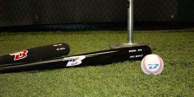 Pro-Grade Baseball Bat. Wood Bat. Bonsall Bat