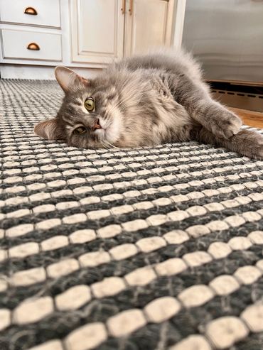 Fluffy gray cat lying on a textured black and white rug in a cozy kitchen.