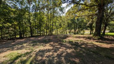 land cleared after forestry mulching