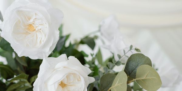 Close-up of delicate white roses with green leaves.