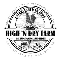 High 'N Dry Farm Springer Spaniels