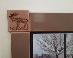 Elk window surround
