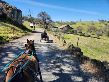 Back down to the house