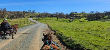 Driving to the House