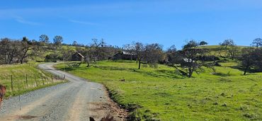 View up to the house