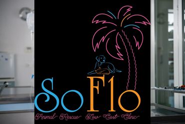 LOW COST AFFORDABLE VETERINARY CARE