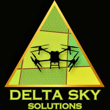 Logo of Delta Sky Solutions featuring a drone inside a golden triangle.