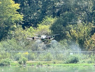Drone spraying liquid over greenery near a water body.