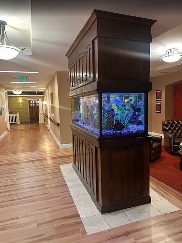 Custom Installation Longmont Memory Care