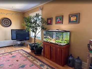 Freshwater Custom Build Boulder