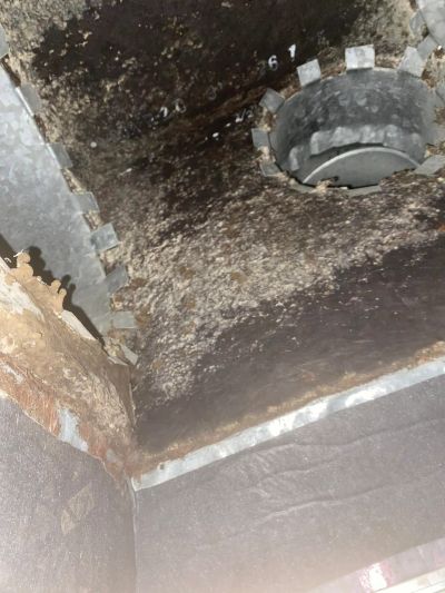 Mold and dirt buildup inside a metal ventilation duct.