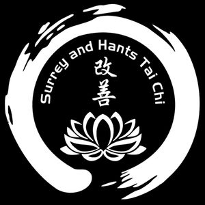 Surrey and Hants Tai Chi and Qigong friendly, authentic classes for beginners, pay when you come