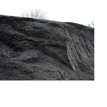 Large pile of black coal under a cloudy sky.
