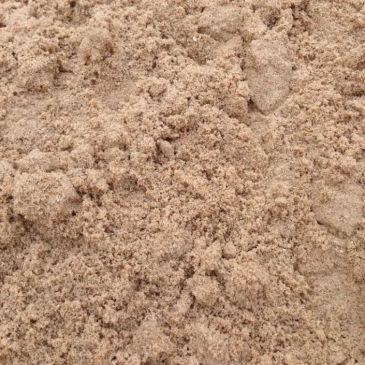 Close-up view of loose, textured sand.