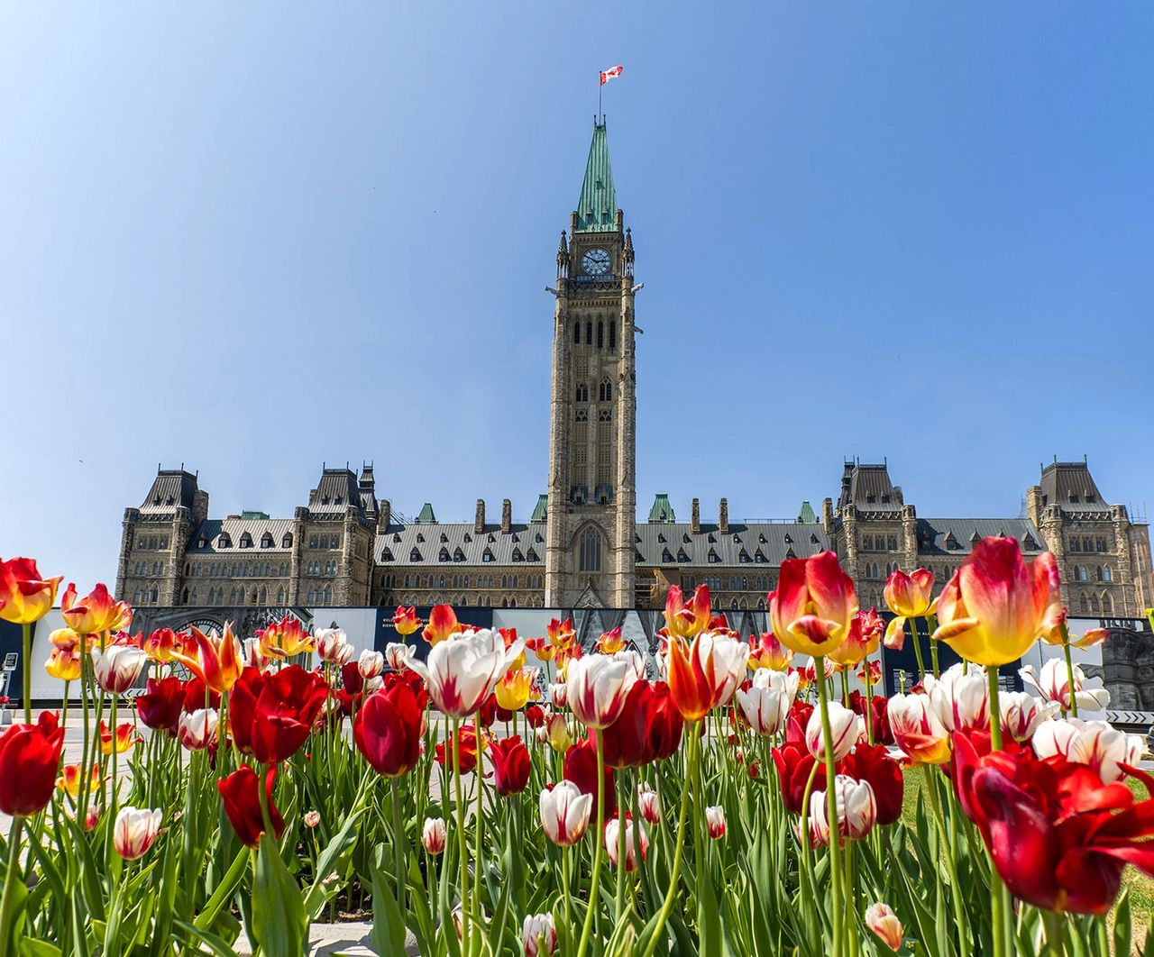 BREAKING: Canada conducts its first healthcare-focused Express Entry draw since July. BREAKING: Canada conducts its first healthcare-focused Express Entry draw since July.
