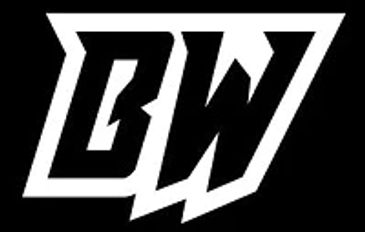 Bearded Works Paintball