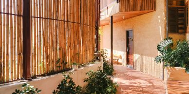 Sunlit outdoor corridor with bamboo fencing and potted plants.