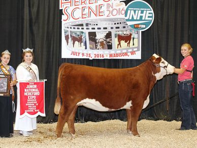 BNT Divine
2016 JNHE Reserve Division