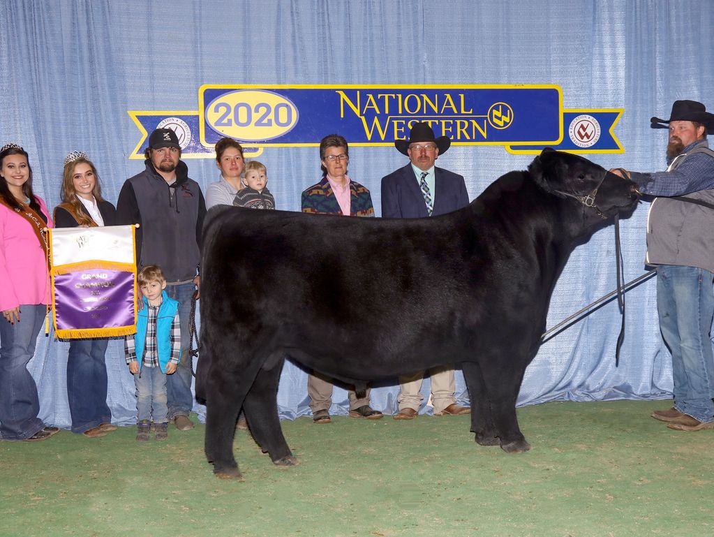 TRAC Enabler 850F
2020 NWSS Grand Champion Chianina Bull
2020 NWSS Division Champion Mainetainer