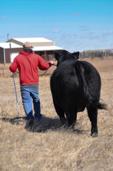 Justin Tracy and MEFC Unanimous 542C