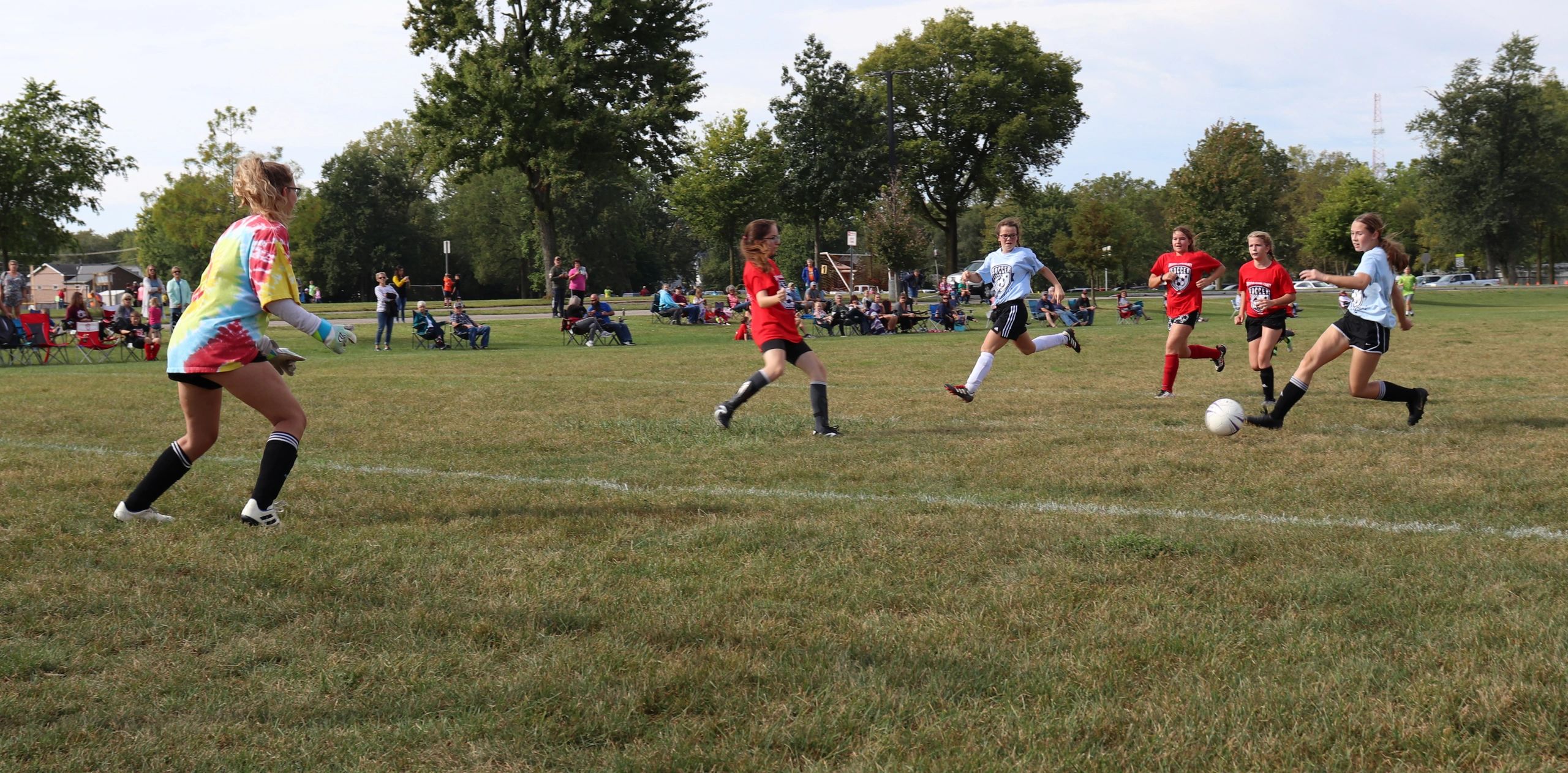 Swim Lessons DecaturAdams County Parks & Recreation