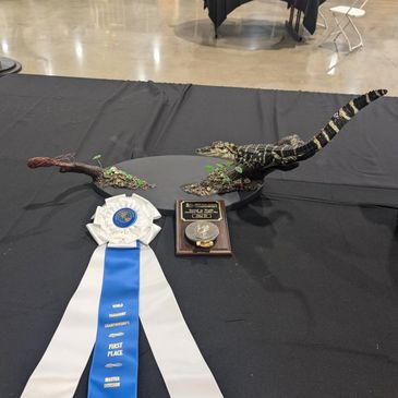 World champion alligator taxidermy