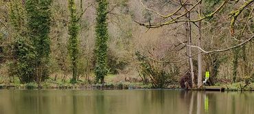 Calm lake surrounded by trees and greenery with reflections on the water.