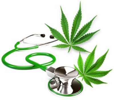 Stethoscope and marijuana leaves