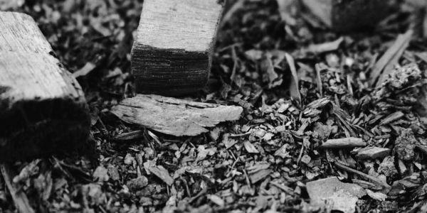 Close-up of wood chips and small logs on the ground.