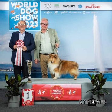 WDS-23 VBIS VEUW-23 VWW-23 C.I.B. FI UCH SE V-16 SE&DK&NO UCH Lundecock's Sticky Fingers (C.I.B.