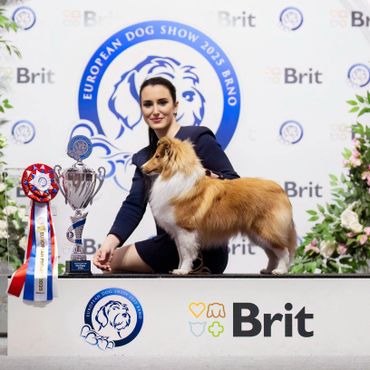 Woman posing with a Shetland Sheepdog and trophy at European Dog Show 2025.