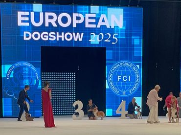 Participants and judges at the European Dogshow 2025 with dogs on stage.
