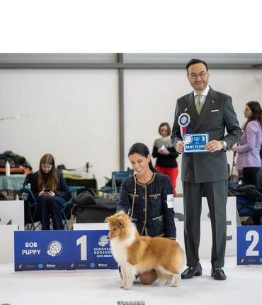 Woman with a Shetland Sheepdog and a man holding a Best Puppy award at a dog show.