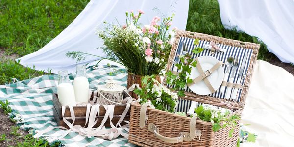 Yosemite Micro Wedding
Picnics