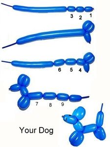 Learn to make balloon dog directions
long island balloonist for parties and events