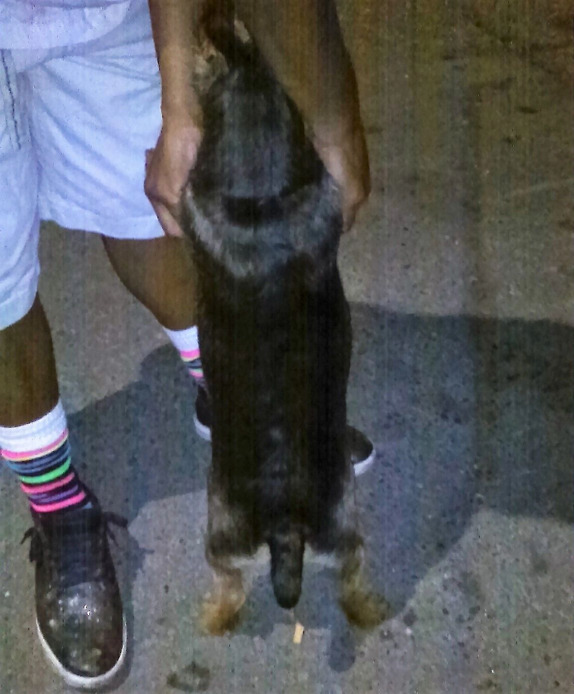 Actual photo sent by collector of the reward.