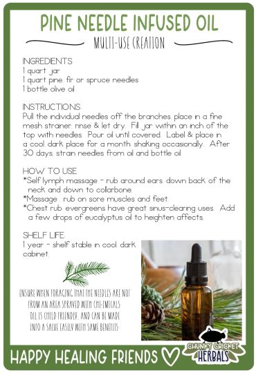 Recipe for making pine needle infused oil with instructions and uses.