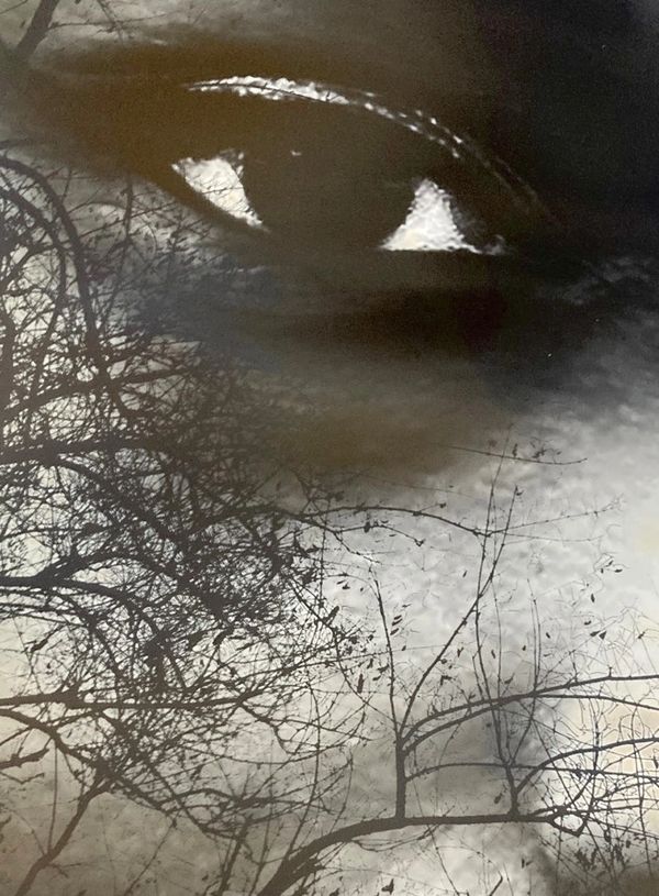 Eye reflected with tree branches in a black and white image.