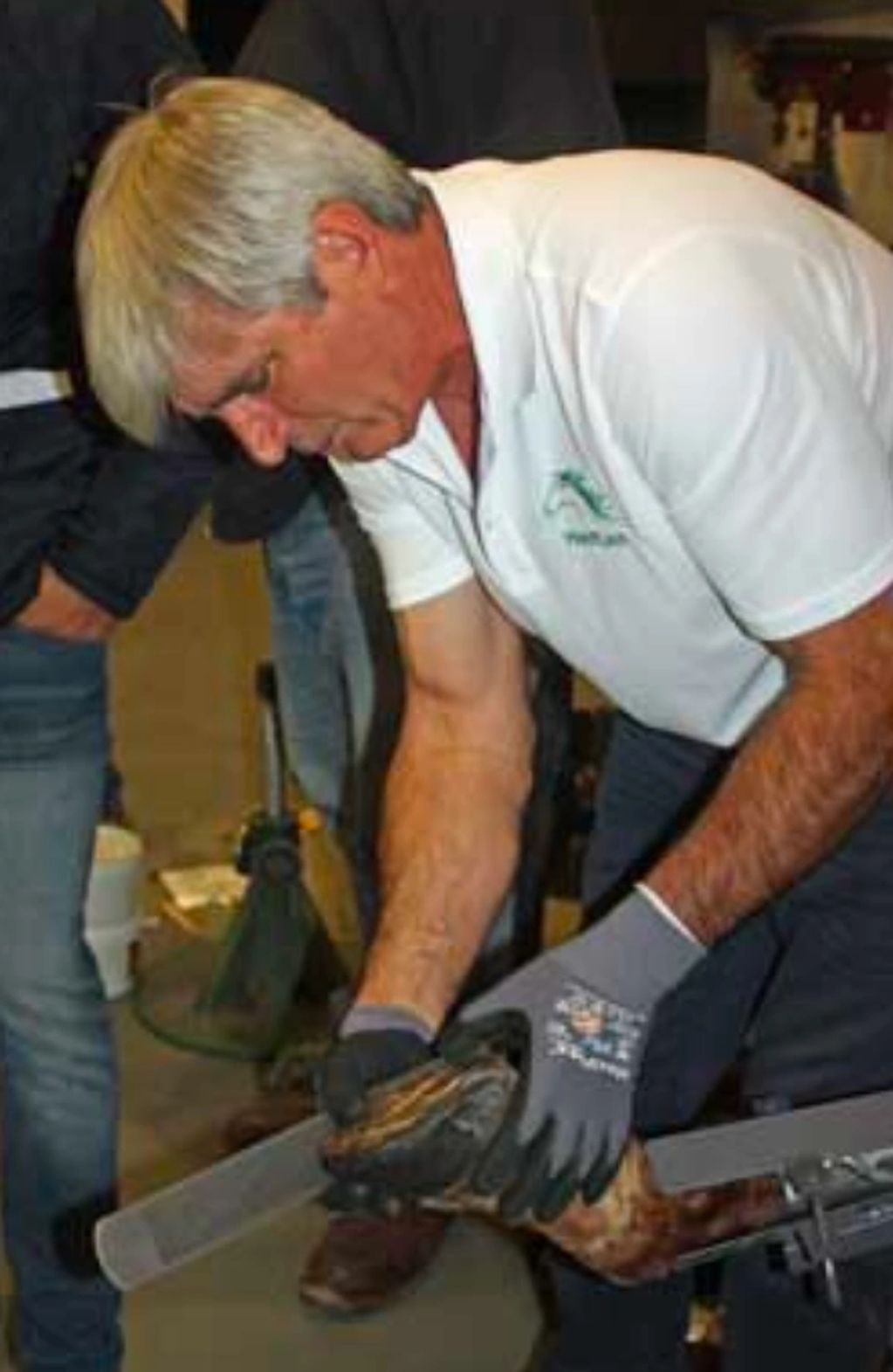 Derek Poupard, CJF,  Dip WCF - HoofCast uses DE HoofTaps