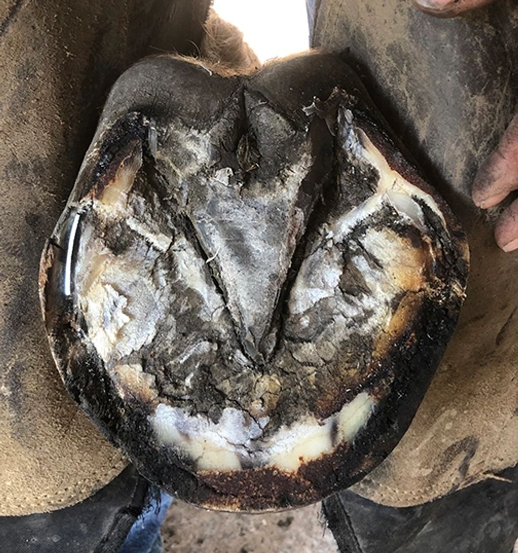 Medial stabilization also promoting medial growth for help with medial/lateral imbalance