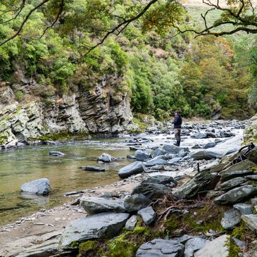 Spotting Wild Trout