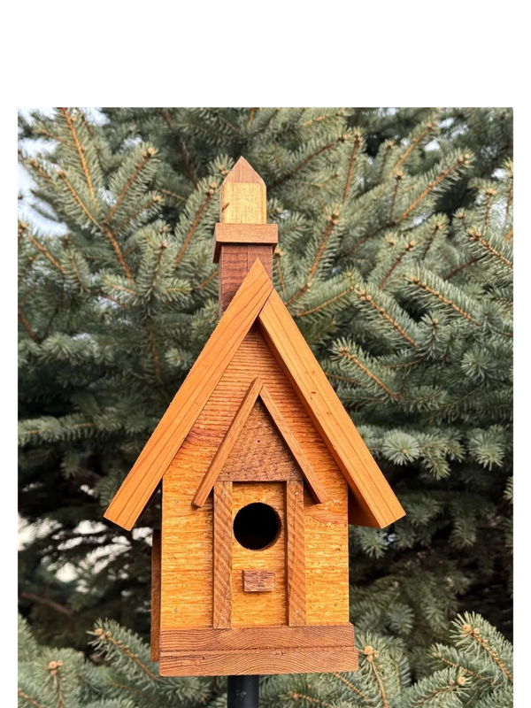 A close up look of a birdhouse with trees in the back