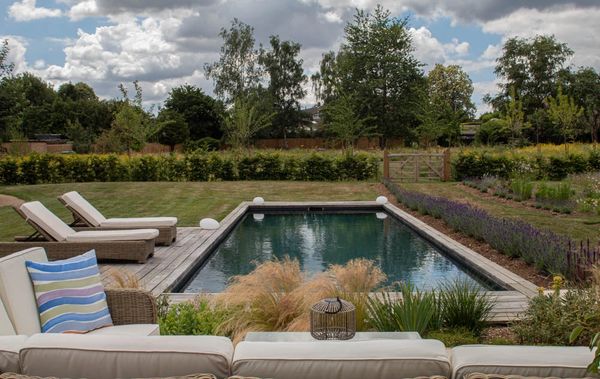 Cozy backyard pool with lounge chairs and greenery.